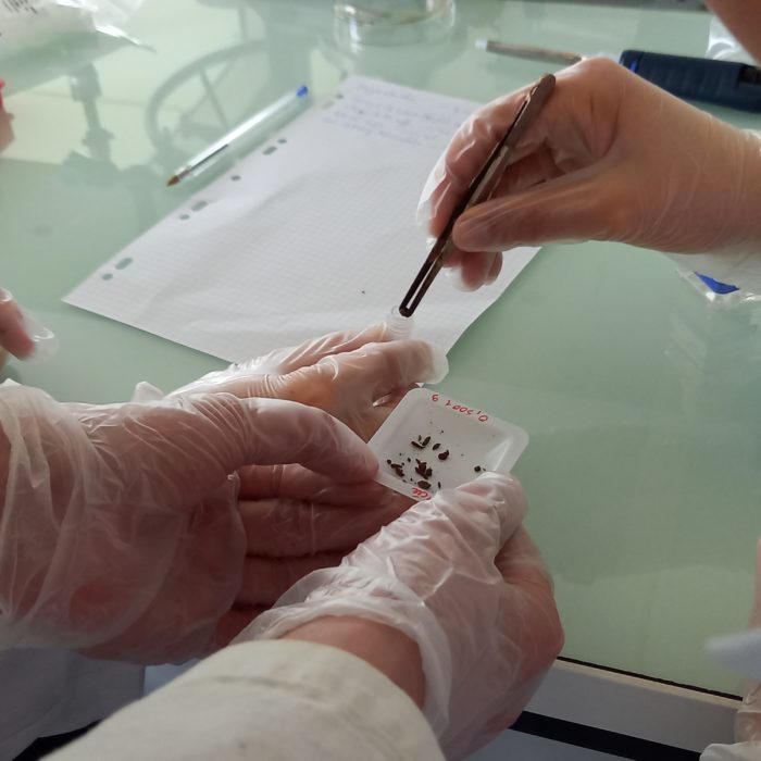 Élèves manipulant en laboratoire